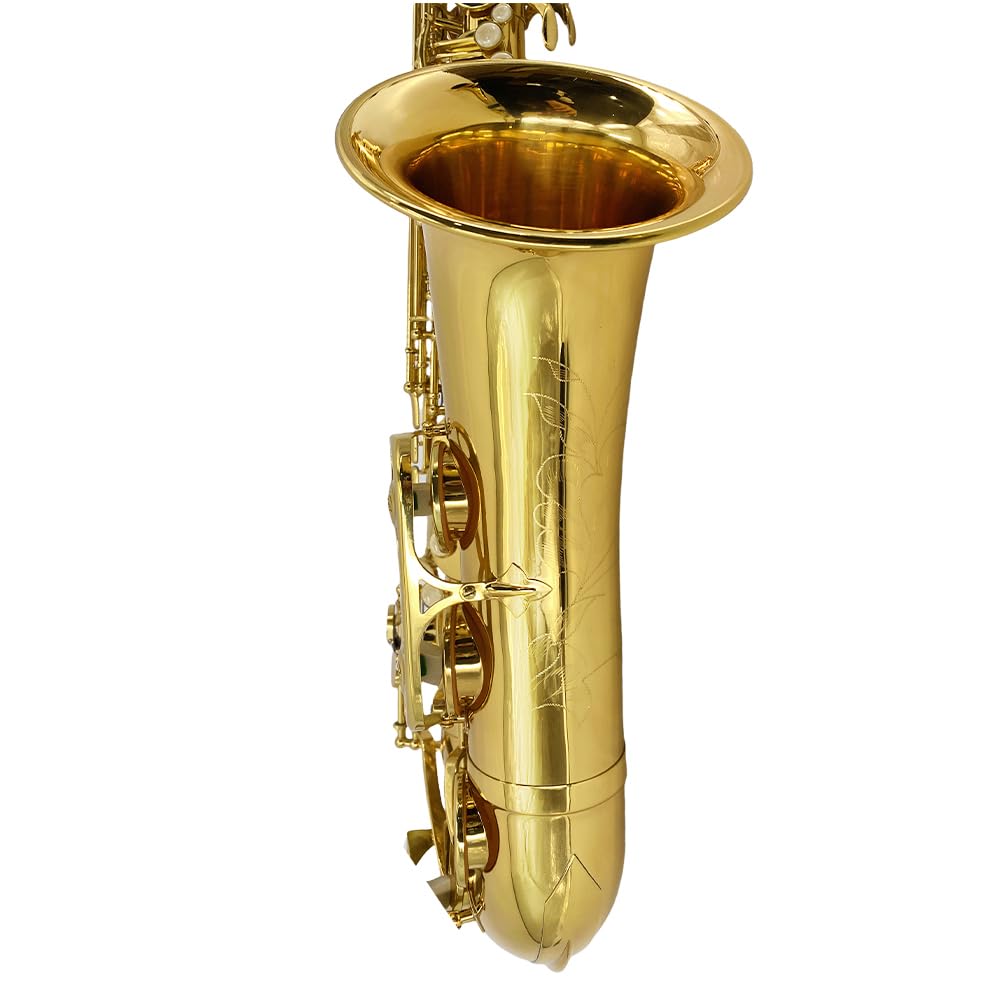 Bb Tenor Saxophone Beginner Kit with Hard Case Q392