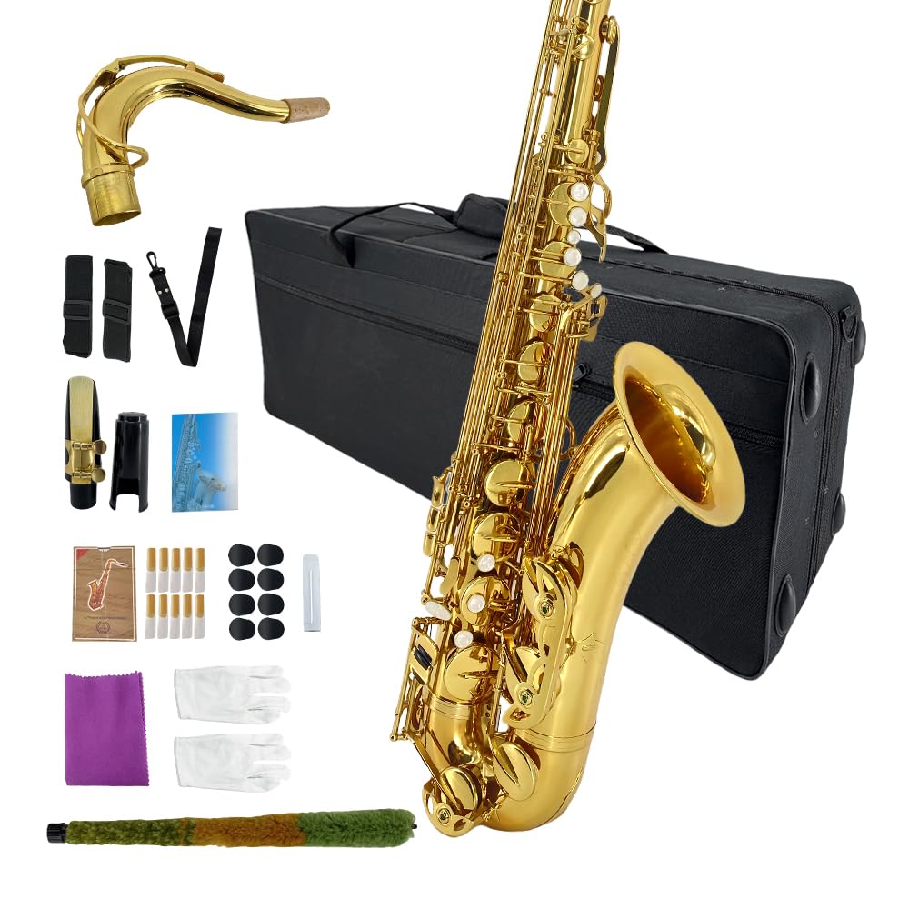 Bb Tenor Saxophone Beginner Kit with Hard Case Q392