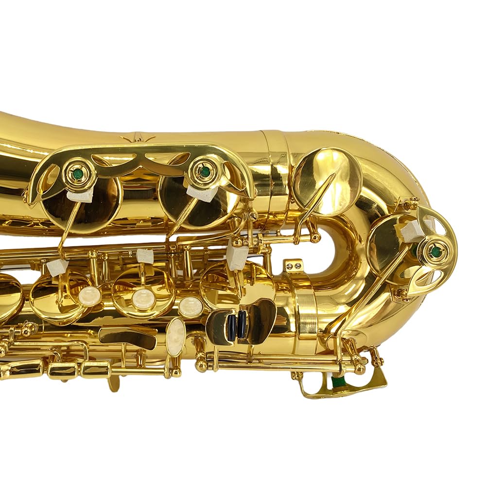 Bb Tenor Saxophone Beginner Kit with Hard Case Q392
