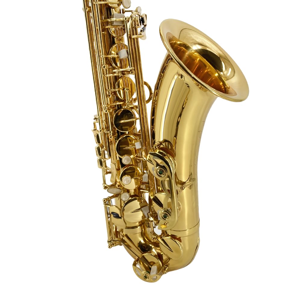 Bb Tenor Saxophone Beginner Kit with Hard Case Q392