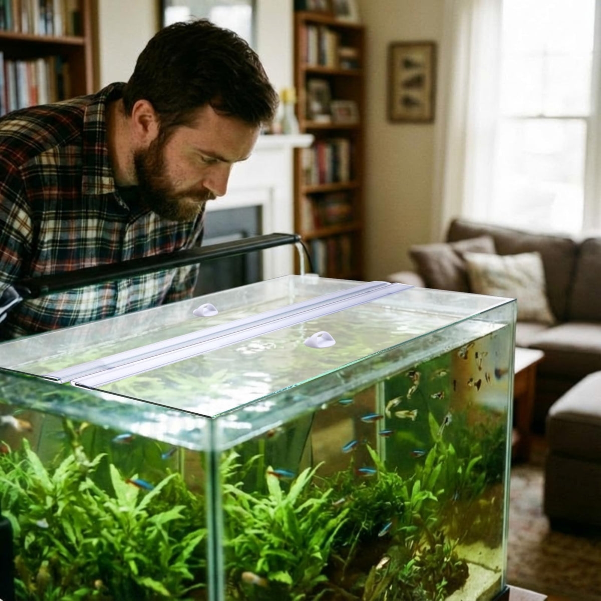 Aquarium Glass Canopy 19.33" x 9.65" x 0.12" A84839