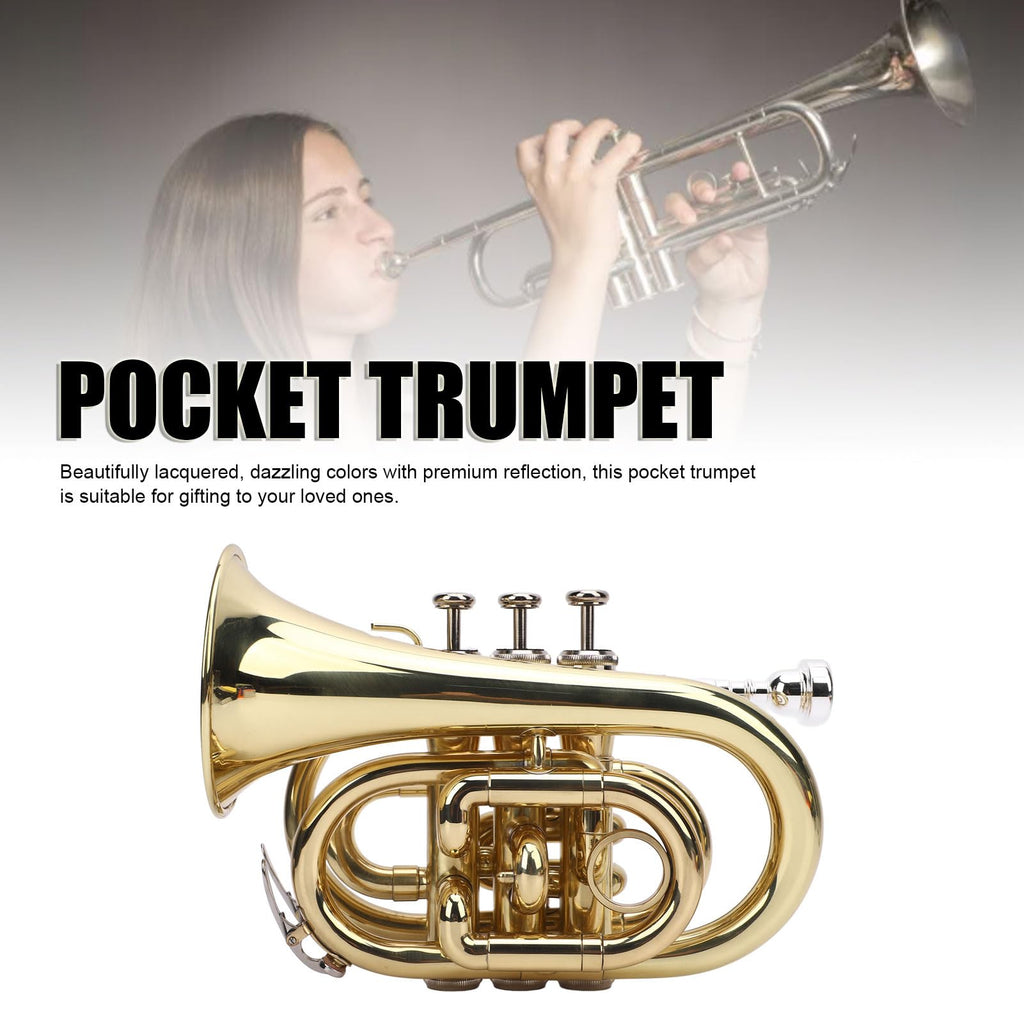 Bb Pocket Trumpet, Ni Plated Brass with 7C Mouthpiece R808239