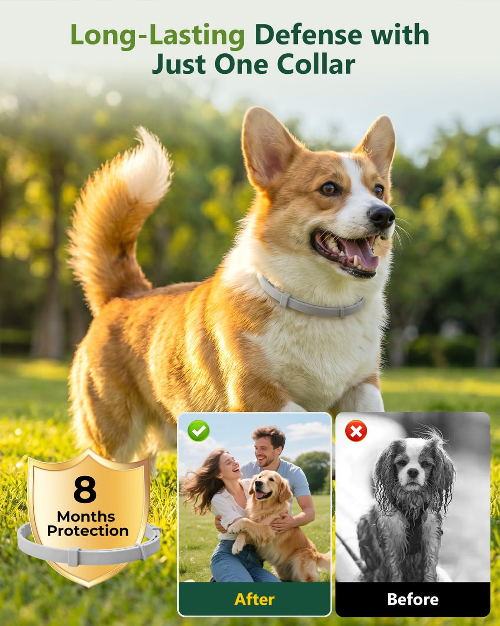 4 Pack Adjustable Waterproof Flea & Tick Dog Collar L19114