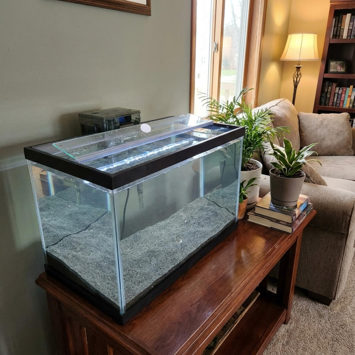 Aquarium Glass Canopy 19.33" x 9.65" x 0.12" A84839