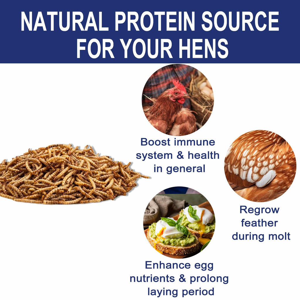 20LBS Non-GMO Dried Mealworms High Protein Chicken Feed G329009