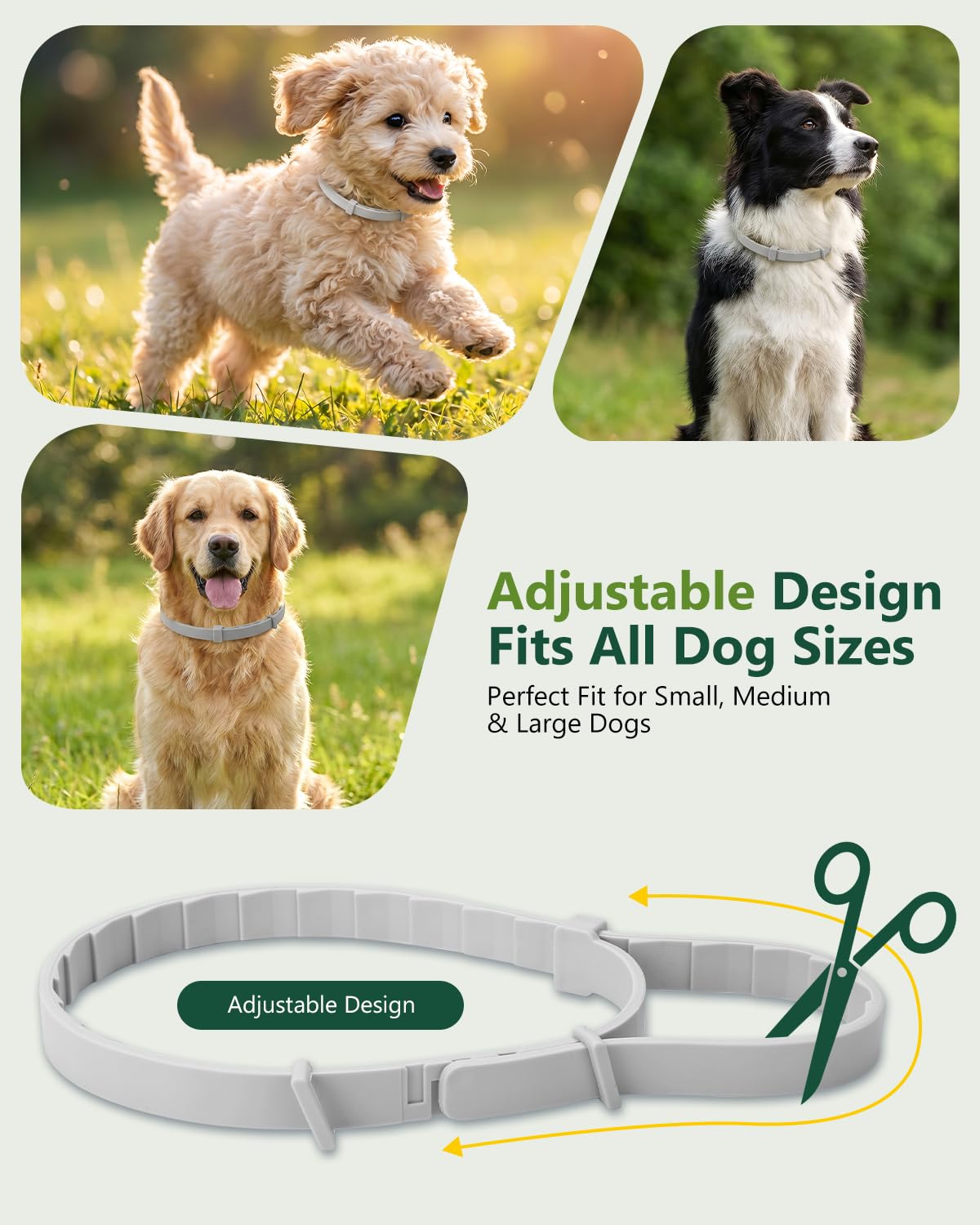4 Pack Adjustable Waterproof Flea & Tick Dog Collar L19114