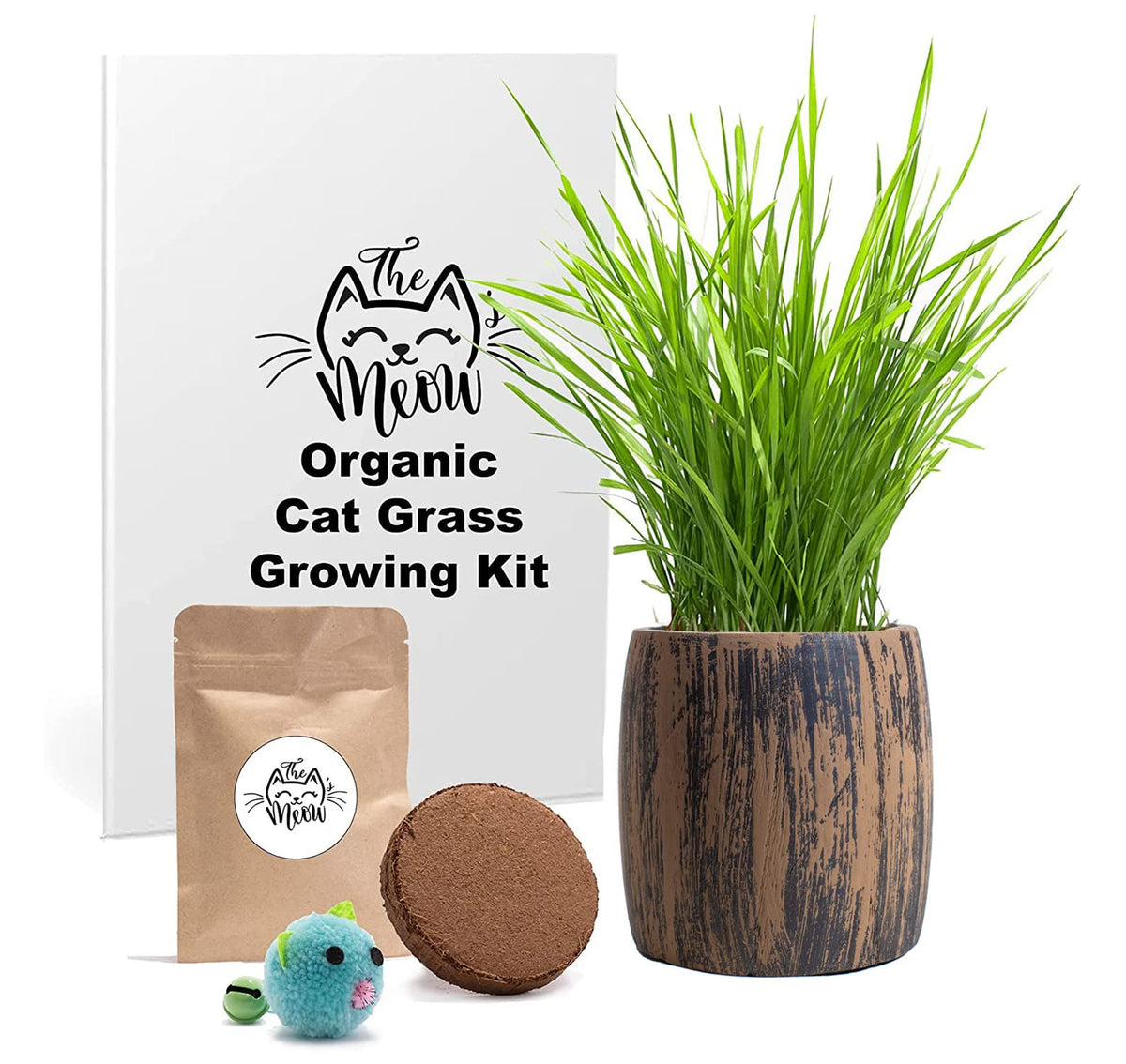 Cat Grass Kit Organic Seed & Soil for 4 Plantings V32031