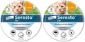 Flea & Tick Treatment & Prevention Collar for Cats 8 Months Pack of 2 X325742