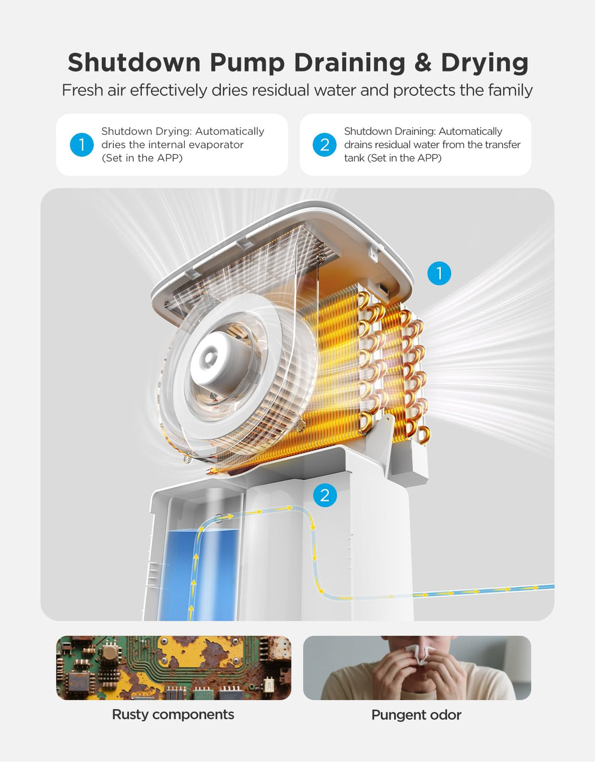 137 Pints Dehumidifier with Pump H9084