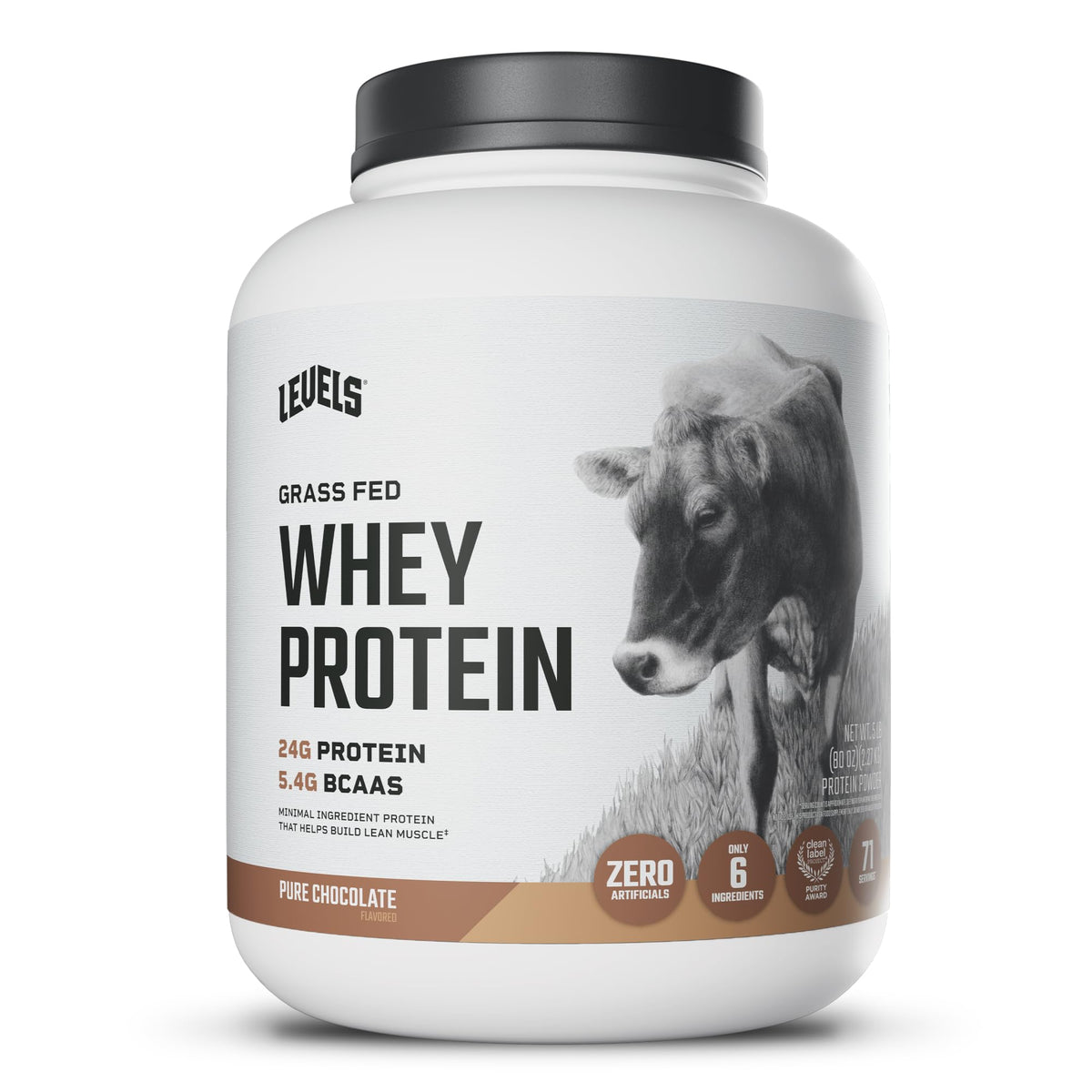 Whey Protein Powder Pure Chocolate 5LB Z4311