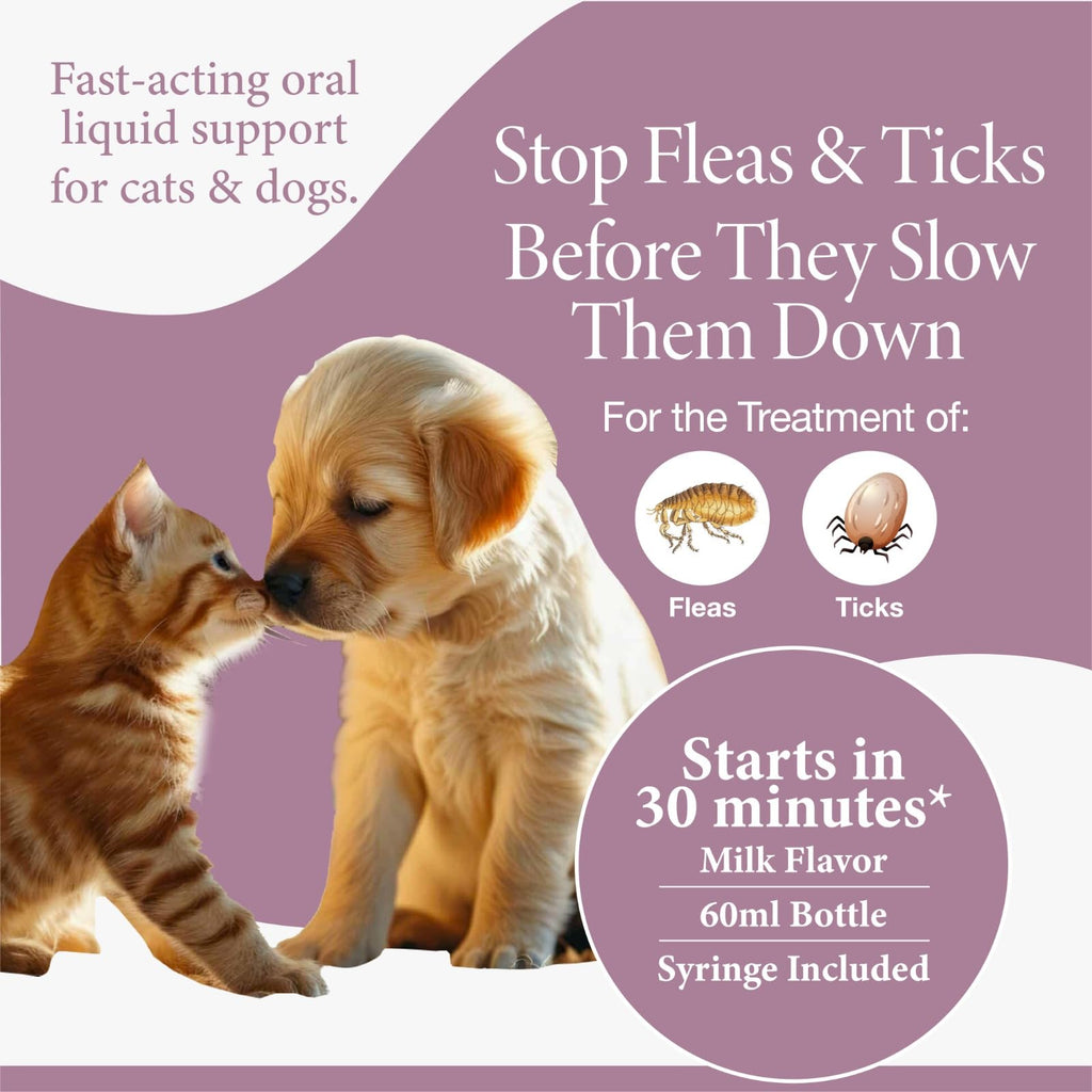 Flea & Tick Support for Cats & Dogs Oral Suspension Milk Flavor 60ml A894