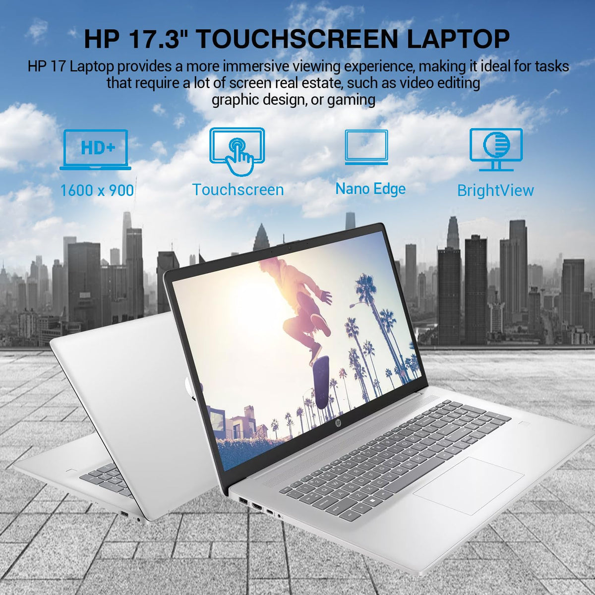 17.3 Inch Touchscreen Laptop D496