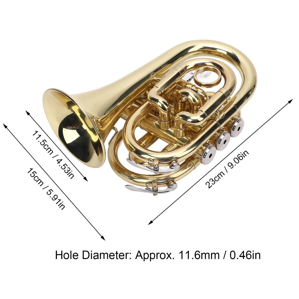 Bb Pocket Trumpet, Ni Plated Brass with 7C Mouthpiece R808239
