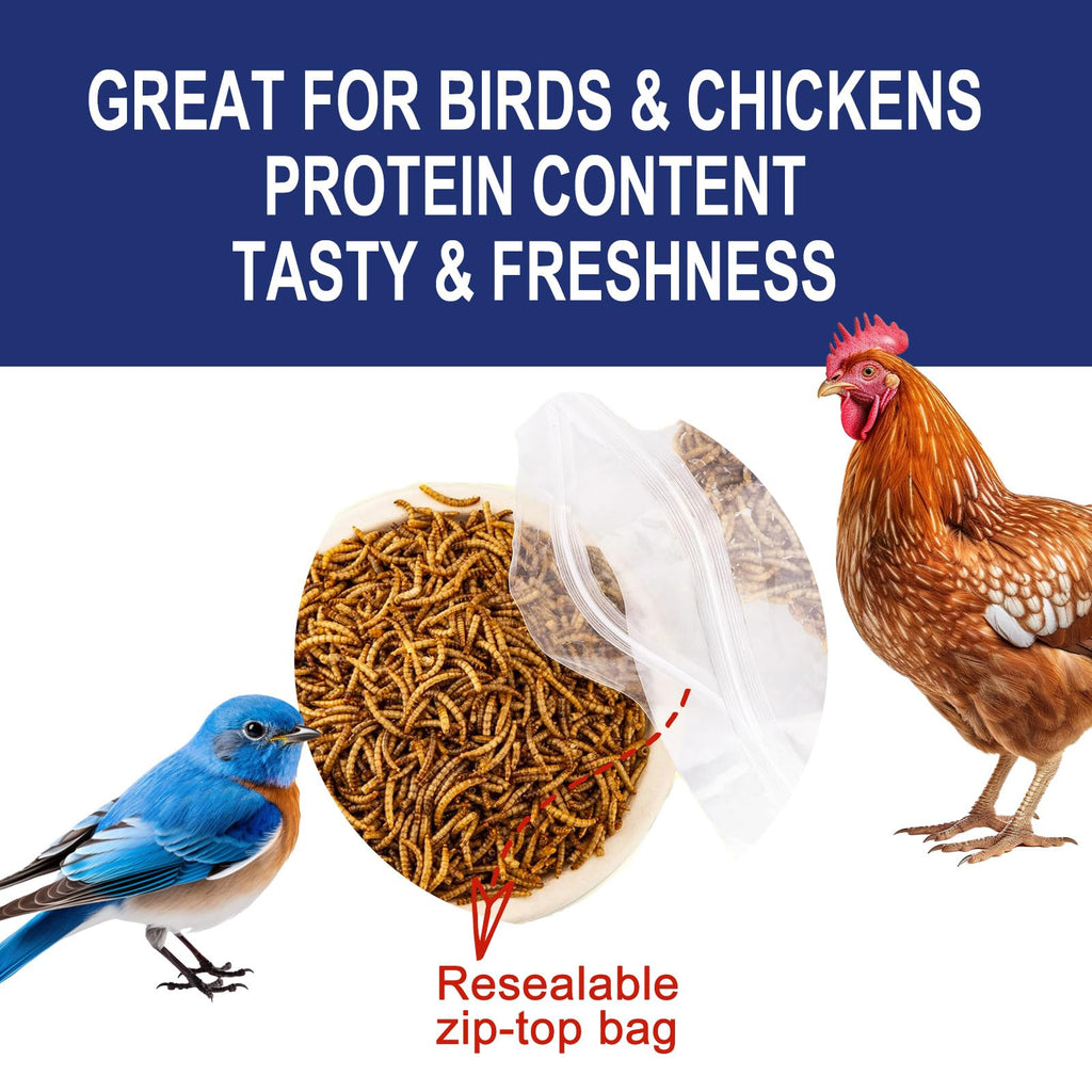 20LBS Non-GMO Dried Mealworms High Protein Chicken Feed G329009