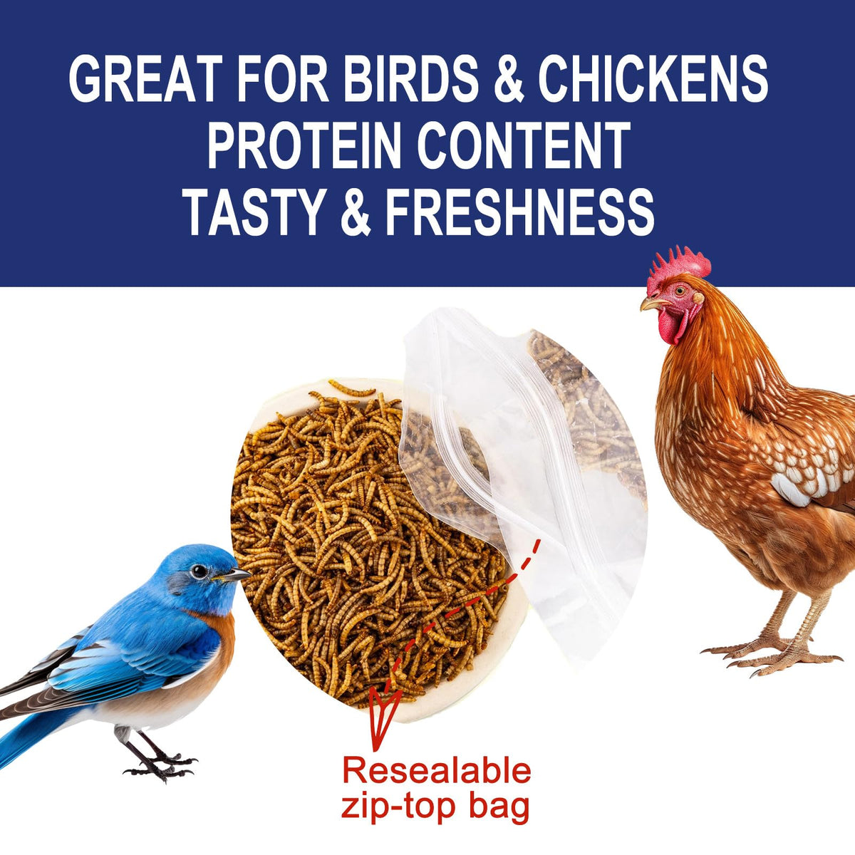 20LBS Non-GMO Dried Mealworms High Protein Chicken Feed G329009