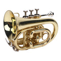 Bb Pocket Trumpet, Ni Plated Brass with 7C Mouthpiece R808239