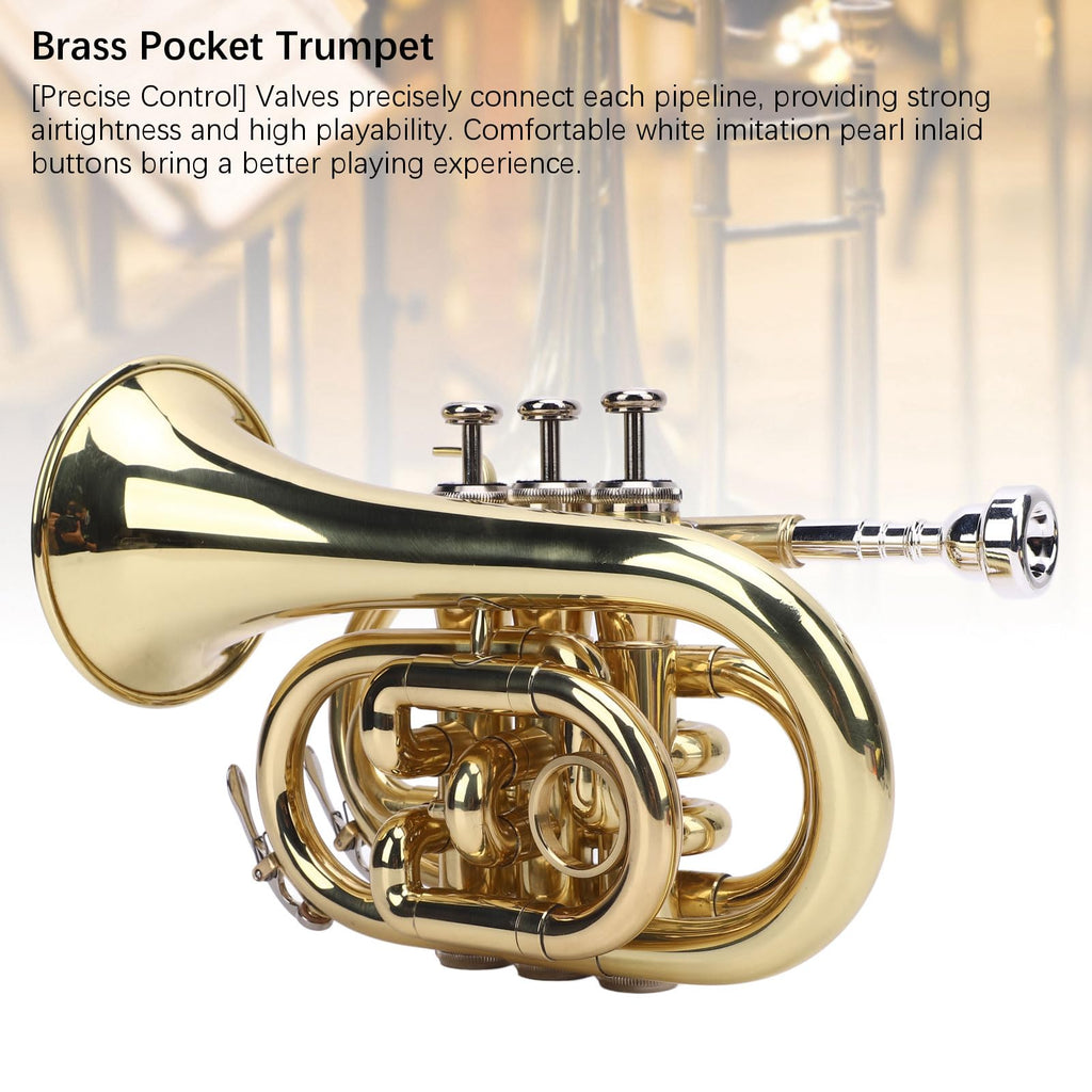 Bb Pocket Trumpet, Ni Plated Brass with 7C Mouthpiece R808239