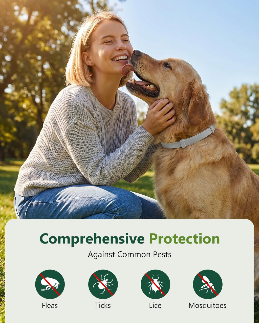 4 Pack Adjustable Waterproof Flea & Tick Dog Collar L19114