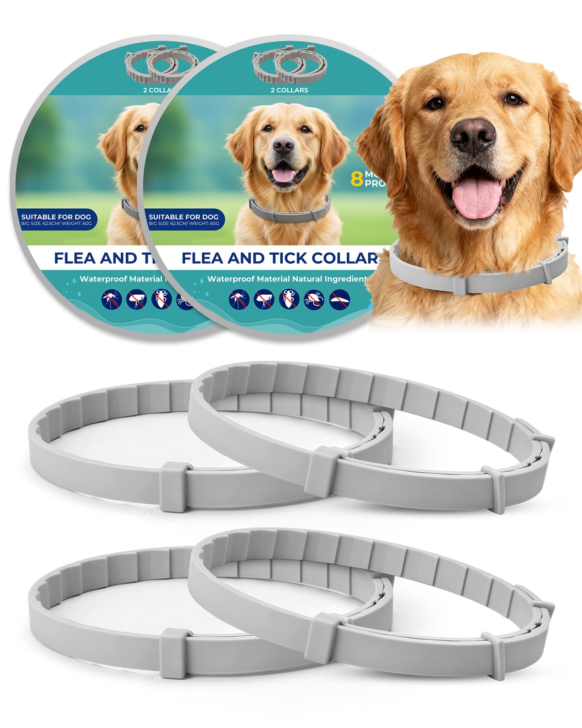 4 Pack Adjustable Waterproof Flea & Tick Dog Collar L19114