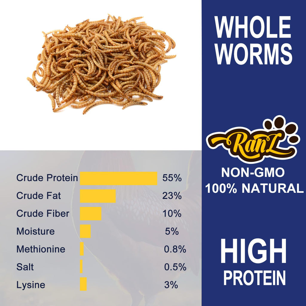 20LBS Non-GMO Dried Mealworms High Protein Chicken Feed G329009