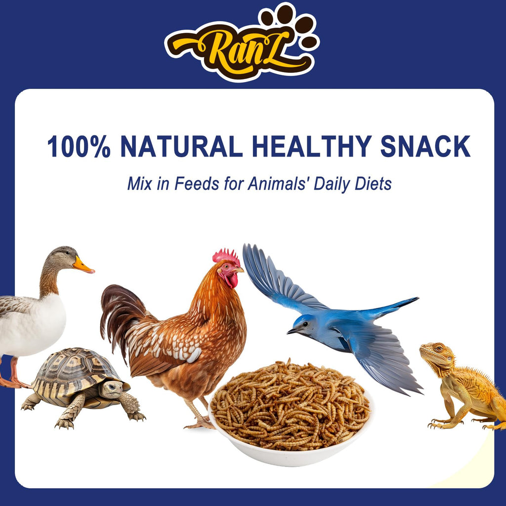20LBS Non-GMO Dried Mealworms High Protein Chicken Feed G329009