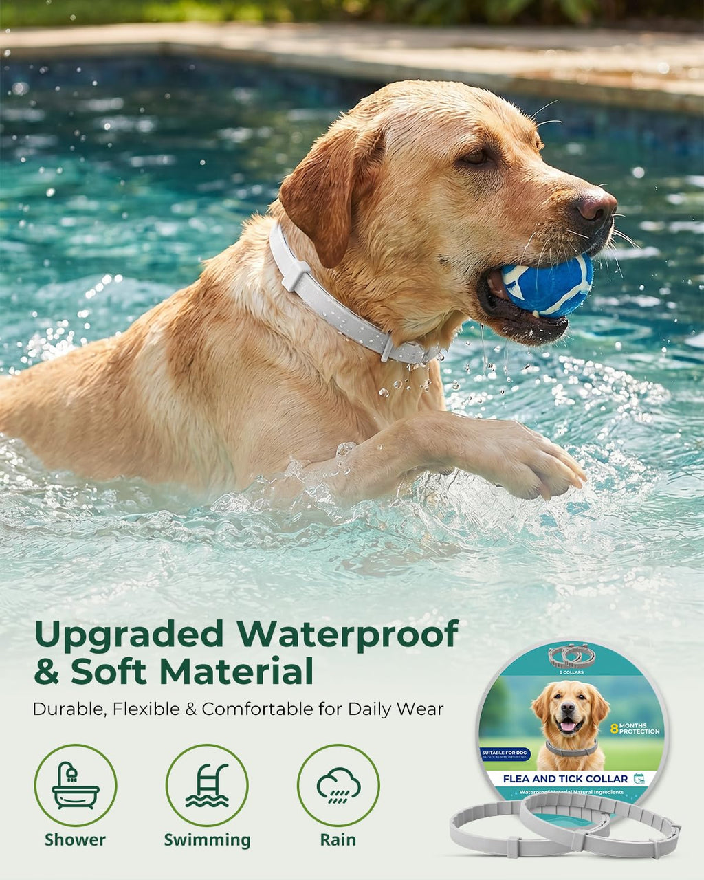 4 Pack Adjustable Waterproof Flea & Tick Dog Collar L19114