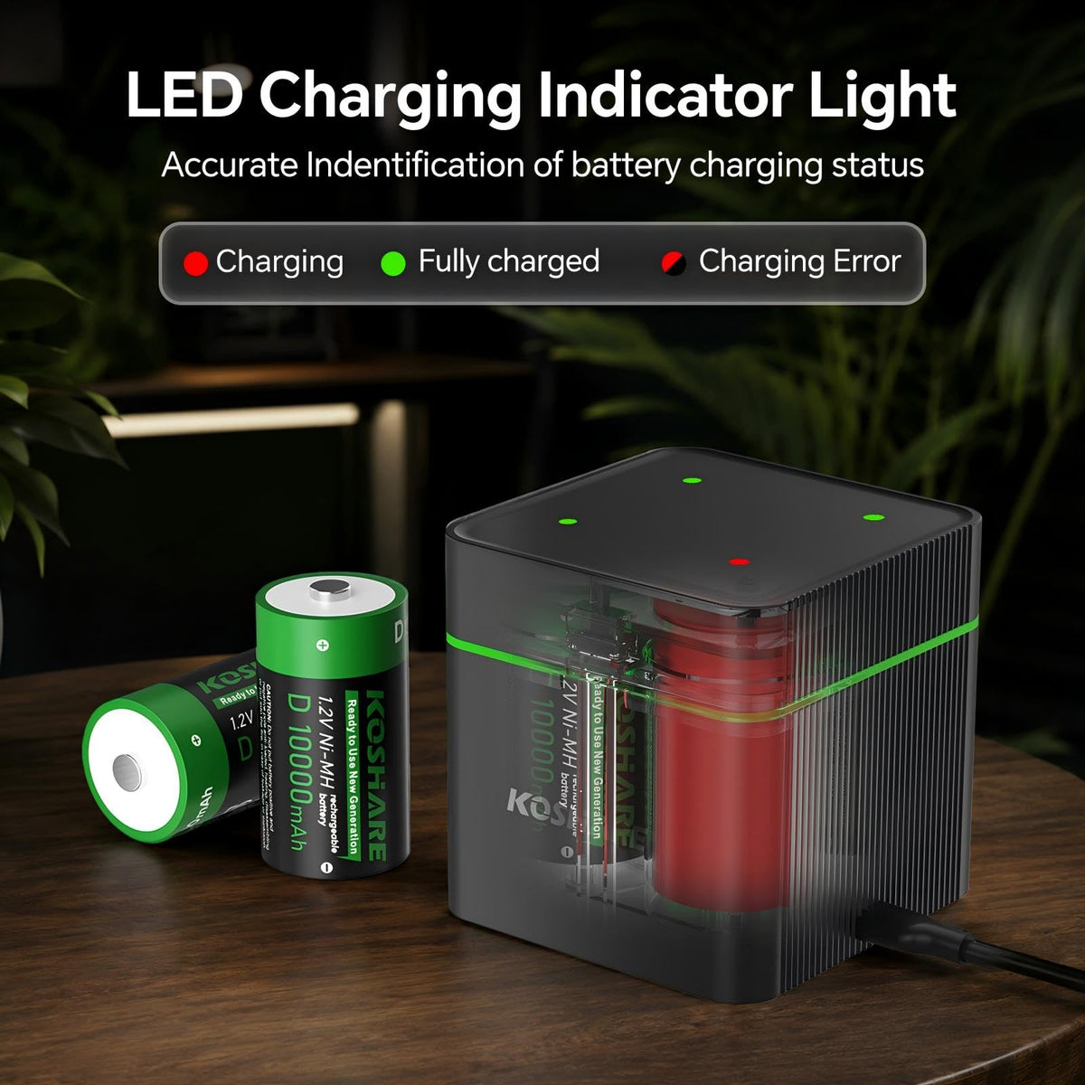4 Pack 10000mAh Rechargeable NiMH D Cell Batteries with Charger E6402