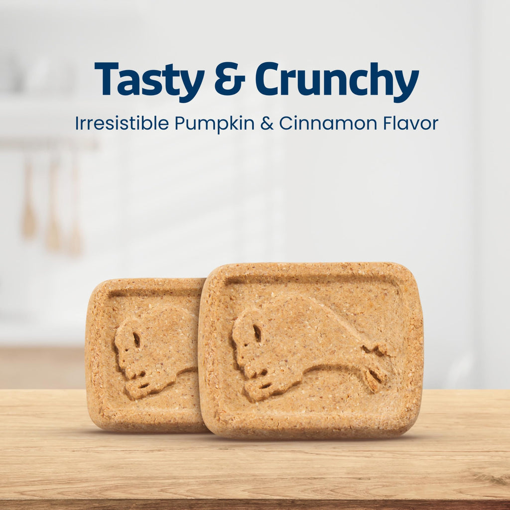 Pumpkin & Cinnamon Dog Biscuits, 16 oz D310