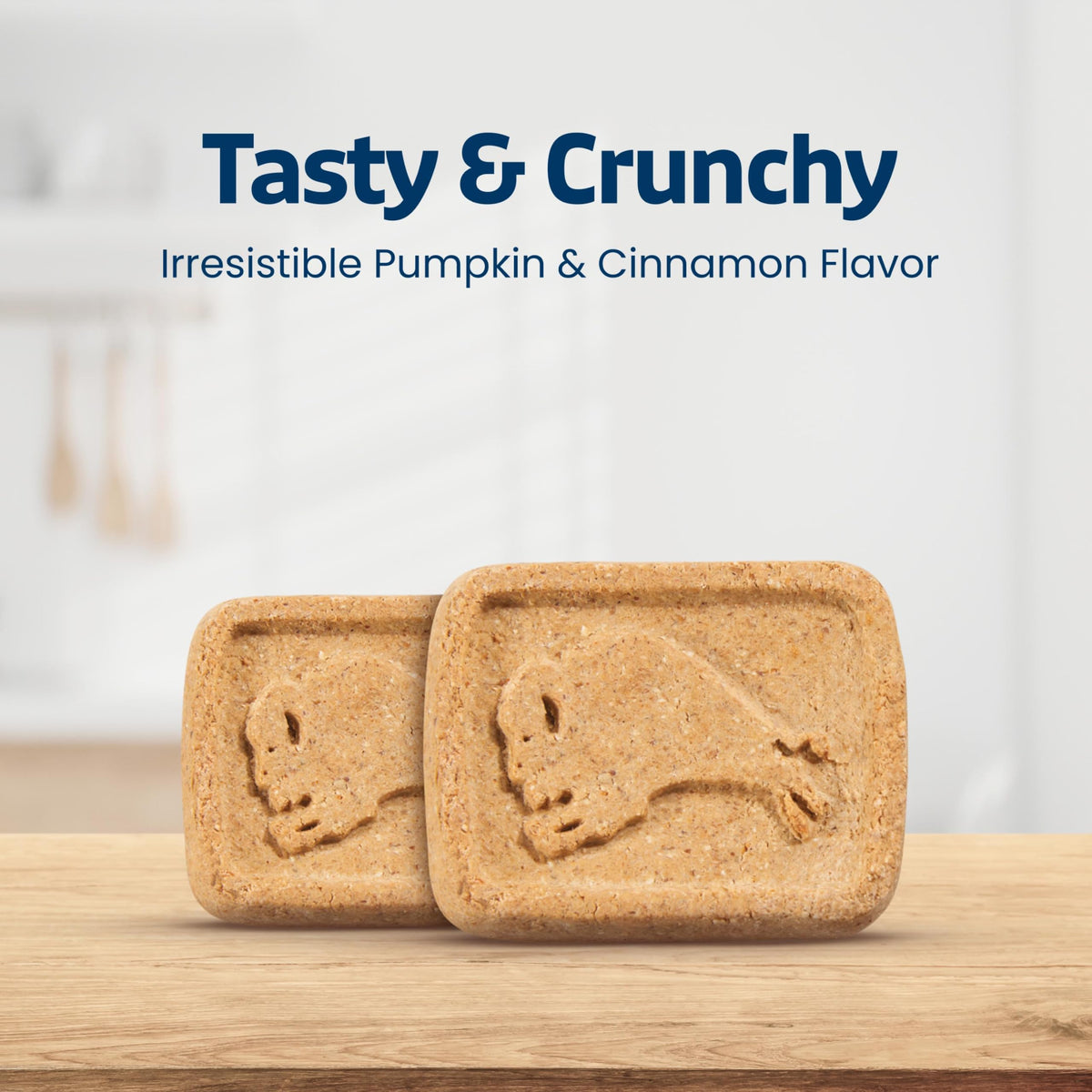 Pumpkin & Cinnamon Dog Biscuits, 16 oz D310