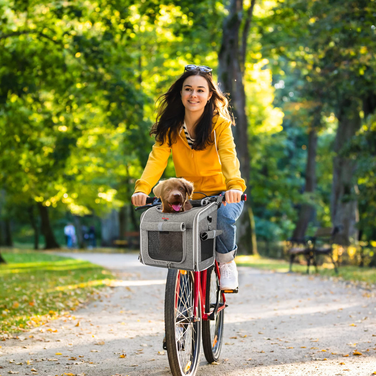 Expandable Reflective Pet Carrier Backpack with 4 Open Doors T62540