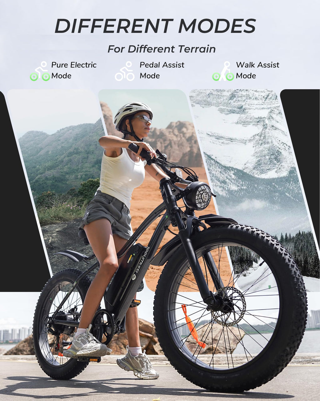 1000W Peak Motor 70 Miles Fat Tire Electric Bike A850