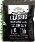 Cat Grass Seed Non-GMO Wheatgrass K707