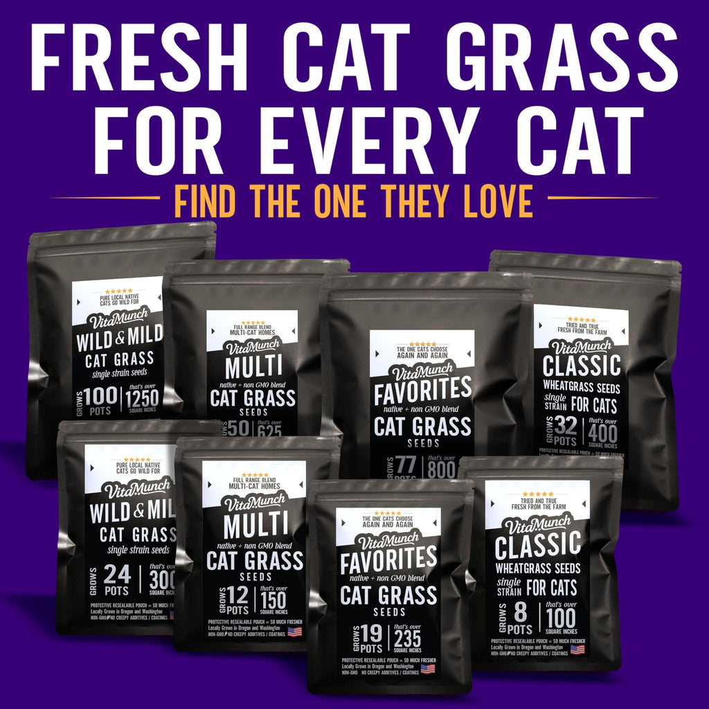 Cat Grass Seed Non-GMO Wheatgrass K707