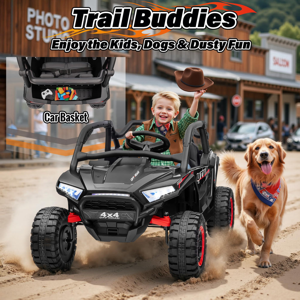 24V 2 Seater 4X4 Off-Road UTV Ride on Car D626935