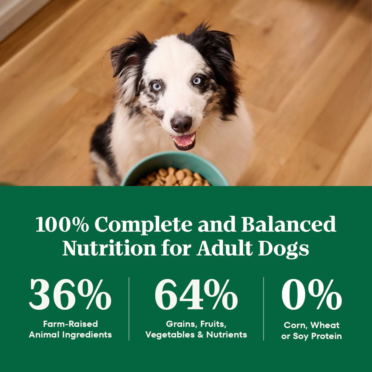 Healthy Weight Chicken & Rice Dry Dog Food 30 lb H562