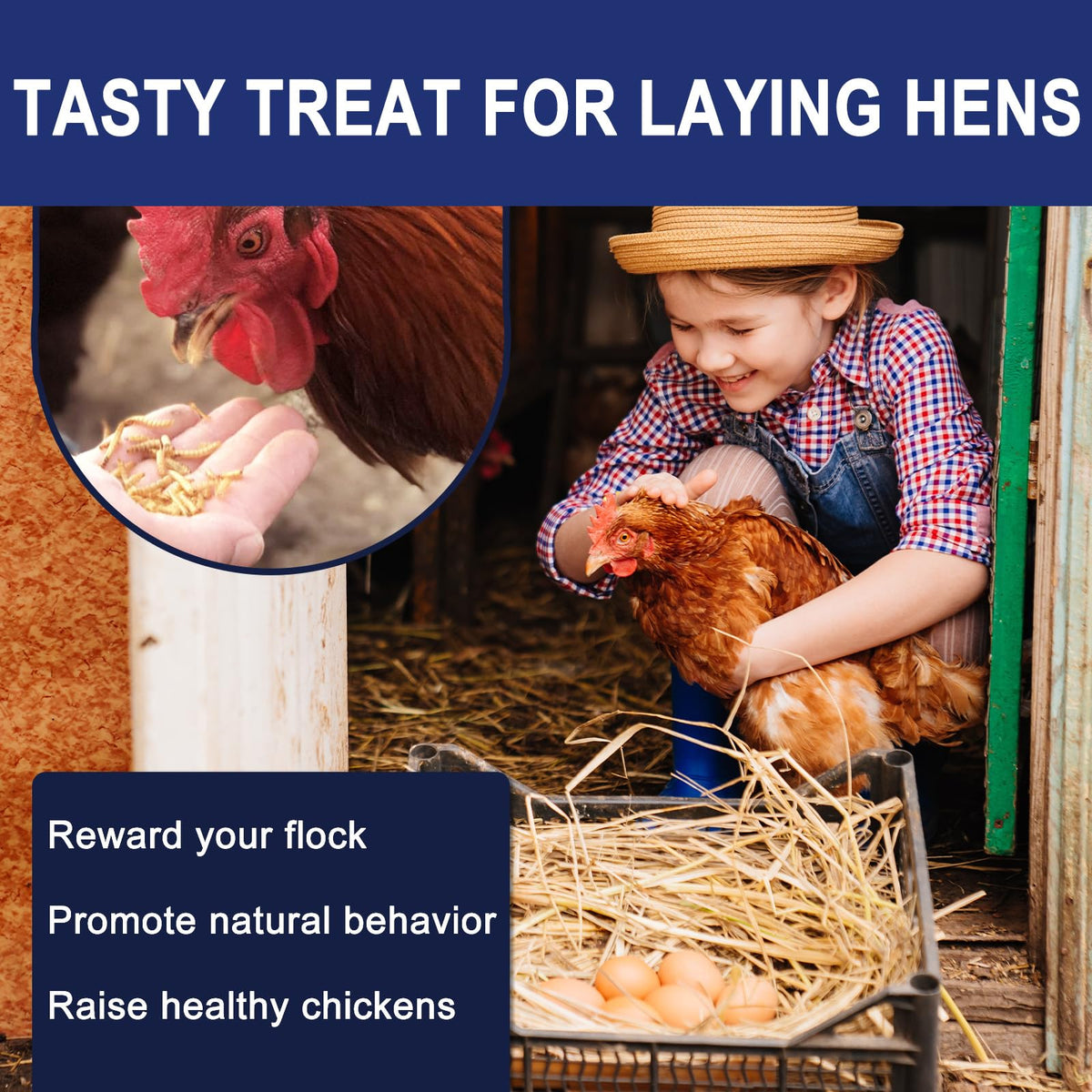 20LBS Non-GMO Dried Mealworms High Protein Chicken Feed G329009