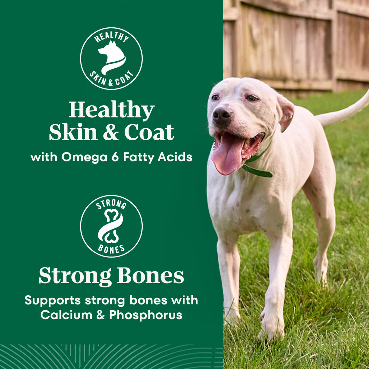 Healthy Weight Chicken & Rice Dry Dog Food 30 lb H562