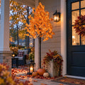 8FT Lighted Maple Tree B588580