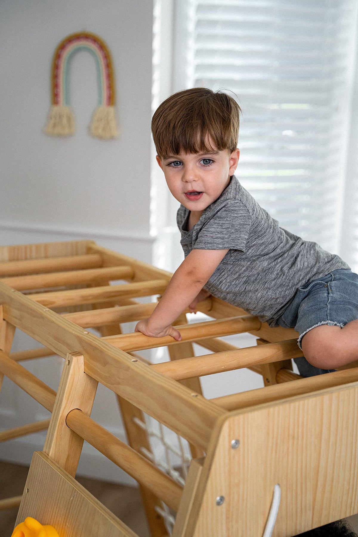 Indoor Jungle Gym for Kids M63650