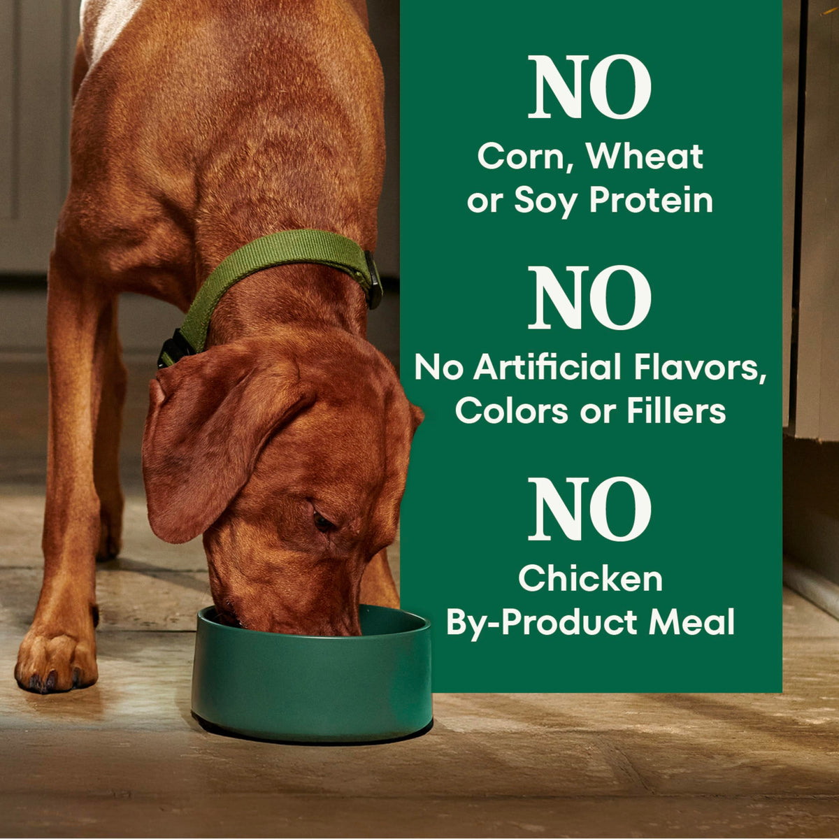 Healthy Weight Chicken & Rice Dry Dog Food 30 lb H562