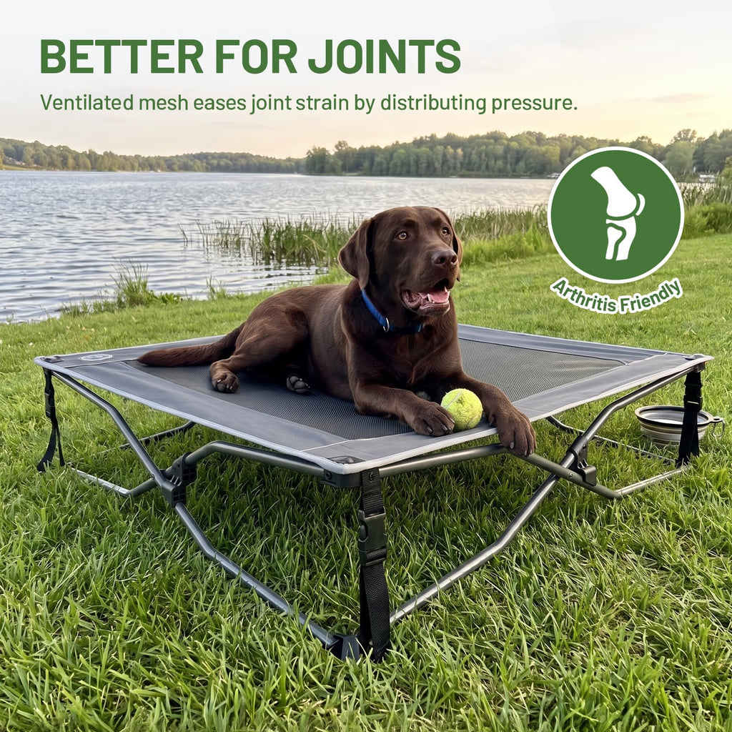 Elevated Cooling Dog Bed with Breathable Mesh N748161