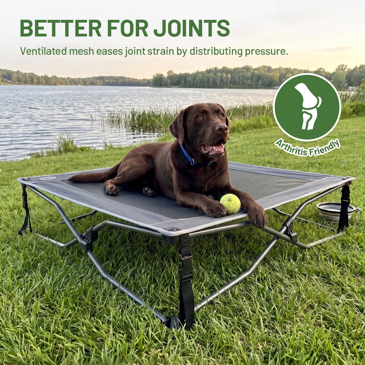 Elevated Cooling Dog Bed with Breathable Mesh N748161